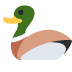 :duck: :duck: