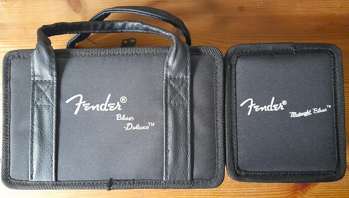 Fender Cases